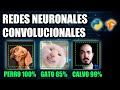 Redes Neuronales Convolucionales - Clasificación avanzada de imágenes con IA / ML (CNN)