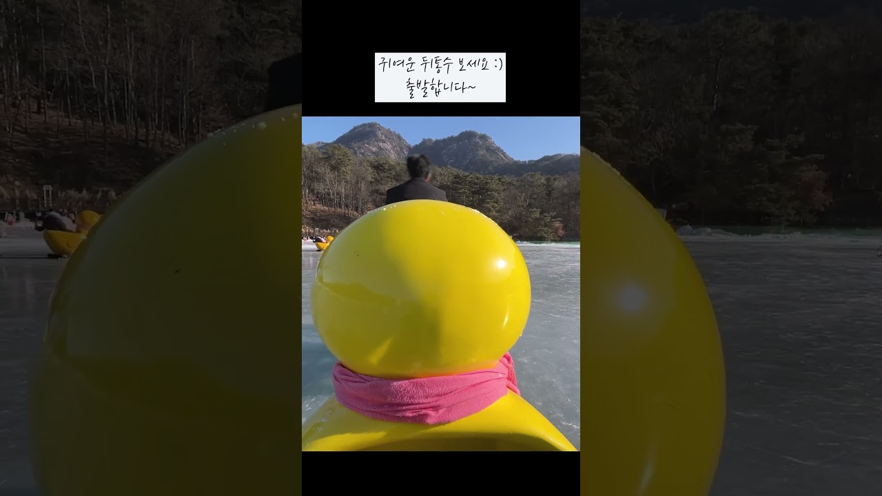 핫한 포천 산정호수 오리 썰매 #shorts