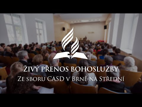 Video: Jak lidé prožívali Střední pasáž?