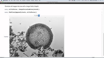 Microscope Image Processing