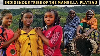 Meet The Mambilla People Of Nigeria And Their History From Central Africa