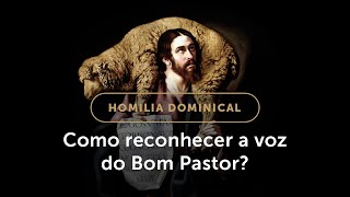Homilia | O que nos impede de ouvir o Bom Pastor? (4.º Domingo da Páscoa)