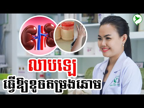 ឡេប្រភេទណាខ្លះ ធ្វើឱ្យខូចតម្រងនោម?