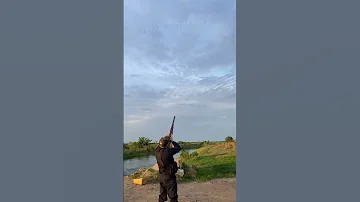 صيد الترغل 