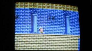 Adventure Island, part 1, world 8-4, the end