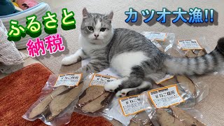 ふるさと納税の返礼品で猫のご飯をあお君にあげてみたら大満足!!