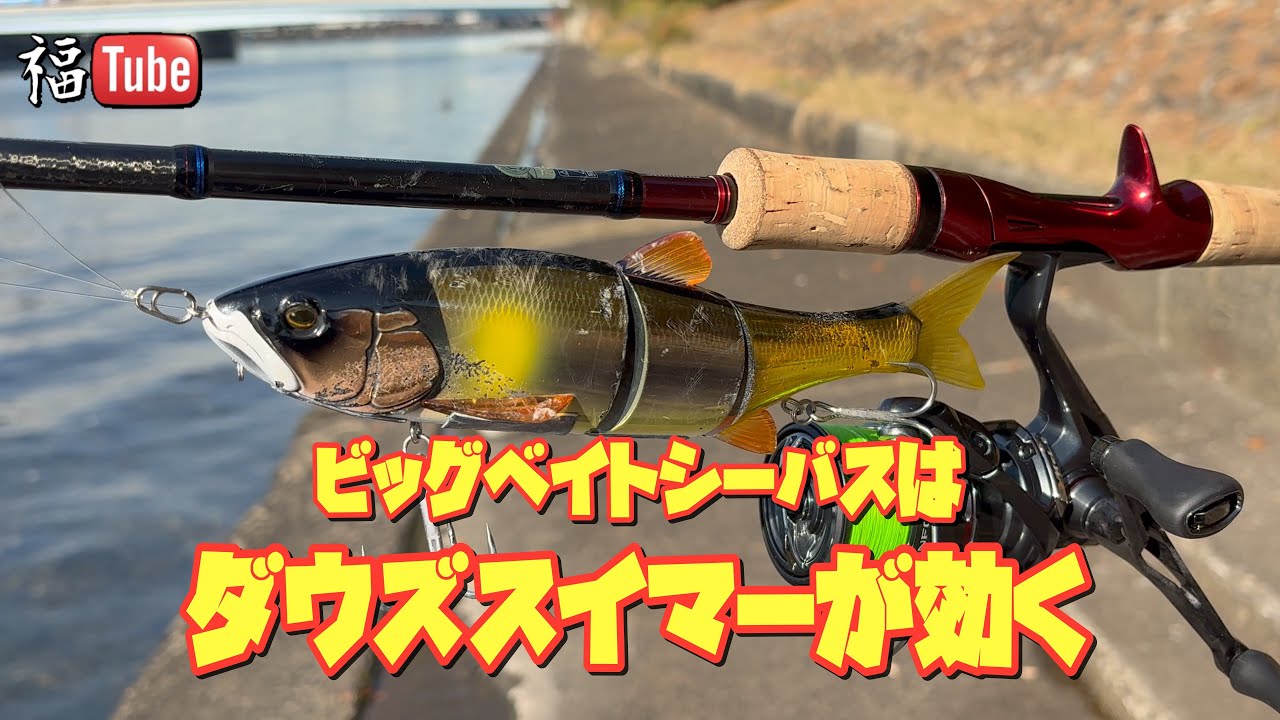 ビッグベイトシーバスはダウズスイマーが効く - YouTube