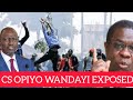 EXPOSED,CS OPIYO WANDAYI ATUMA GOONS KUVURUNGA WANAHABARI