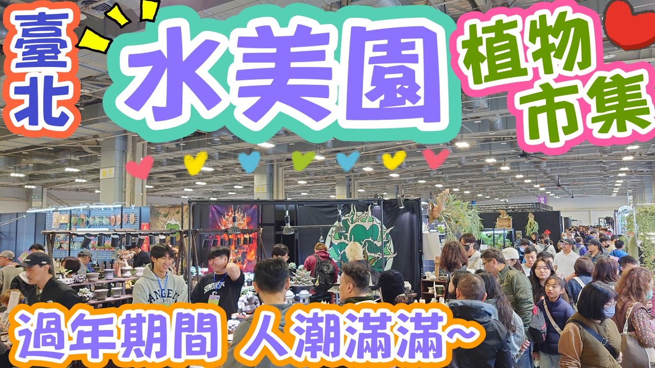 ［跟著阿郁逛］台北水美園植物展#過年#春節#塊根#塊根植物#龍舌蘭#多肉植物#多肉#盆景#盆栽#沙漠玫瑰#花園#植物#植物燈#生活#開箱#療癒#鹿角蕨#觀葉植物#花市#園藝#田尾#教學#花#秘訣#日常