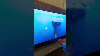 OLED #shortvideo #4ktv #samsungledtv #tv #samsungtv