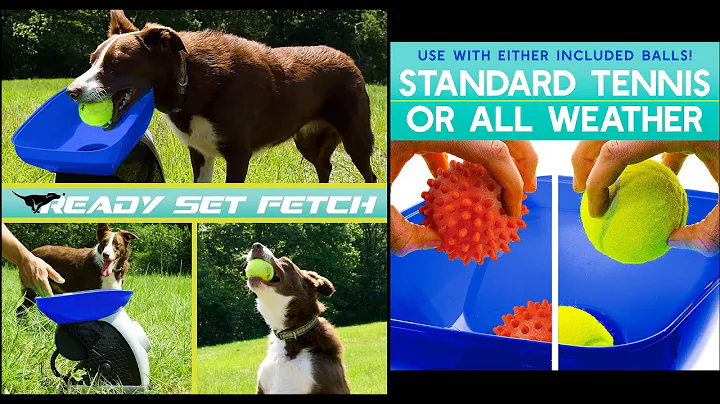 Franklin Pet Ready Set Fetch Automatic Tennis Ball Launcher Dog Toy Review and Demo