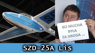 SZD-52A Lis glider - you get what you pay for #Zabytki_Nieba