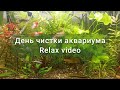 Уход за аквариумом без слов, без подмен, релакс видео. Relax aquarium care Clean up | no talking