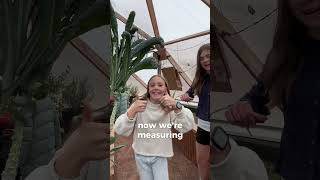 Riverview students code MicroBits for the Grow Dome