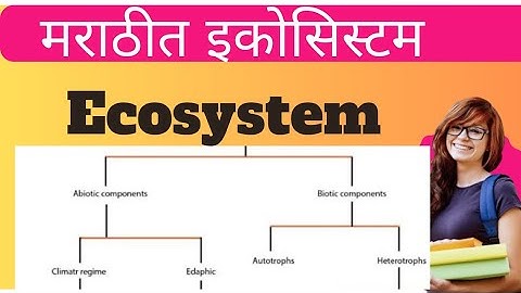 Structure and function of Ecosystem l Environment l LN Education l