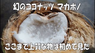 中身がしっとりクリーム、幻のココナッツ(macapuno)を貰ったので食べてみます【マカポノ】