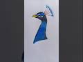 How to draw peacock head and neck 🦚 mor ka Chitra kaise banaen drawing #peacock #mor #art #shorts