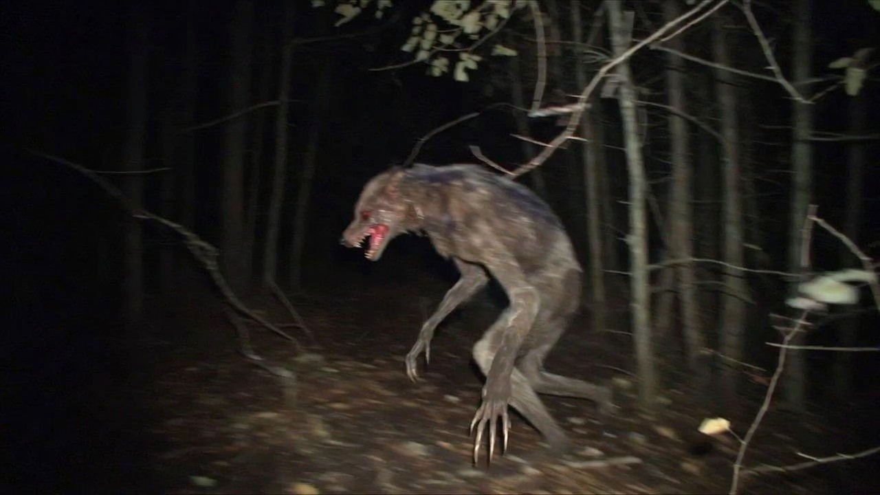 LOBISOMEM NO MATO GROSSO DO SUL