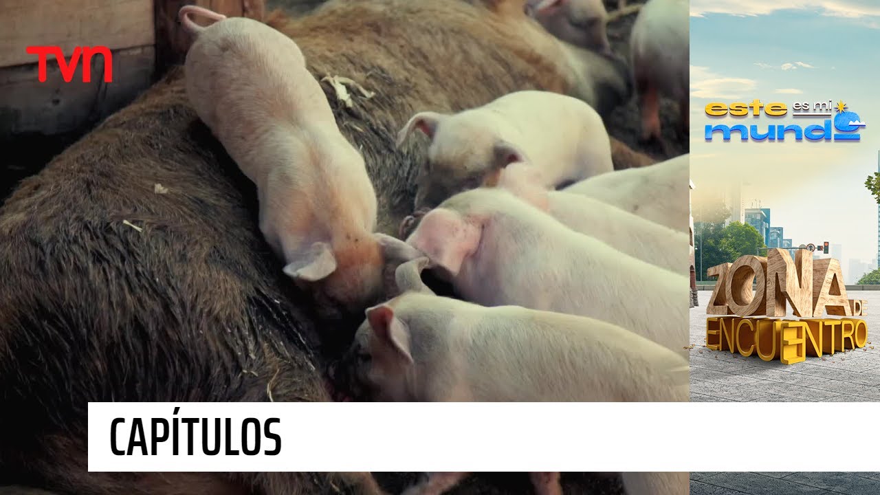 Tradiciones del campo chileno | Este es mi mundo - T1E11