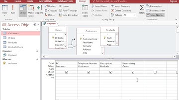 Insert the appropriate criterion in the Payment query to display clients who pay by cheque only....