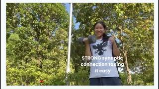 Breakthrough Junior Challenge -- NEUROPLASTICITY