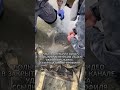 Ловля щуки зимой #рыбак #рыбалка #щука #ловлящуки #щуеазимой