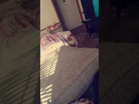 8 Year Old Boy Says fat Boner YouTube 8-year-old-boy-says-fat-boner-youtube