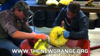 The Transitions Program at The Newgrange School