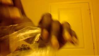 KING TUT.JAMES BOND #Kush vs diesel#