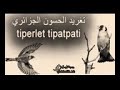 تغريد حسون tiperlet tipatpati روووووعه 🔥🔥🔥