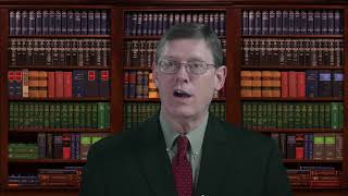 Who owns and maintains a tree on a property line?