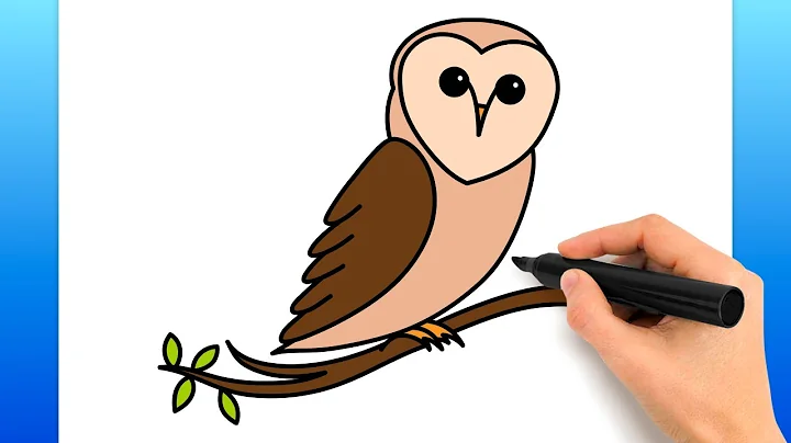 How To Draw A Barn Owl (Easy Drawing Tutorial)