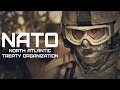 NATO • North Atlantic Treaty Organization • OTAN