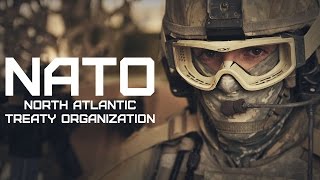 NATO • North Atlantic Treaty Organization • OTAN