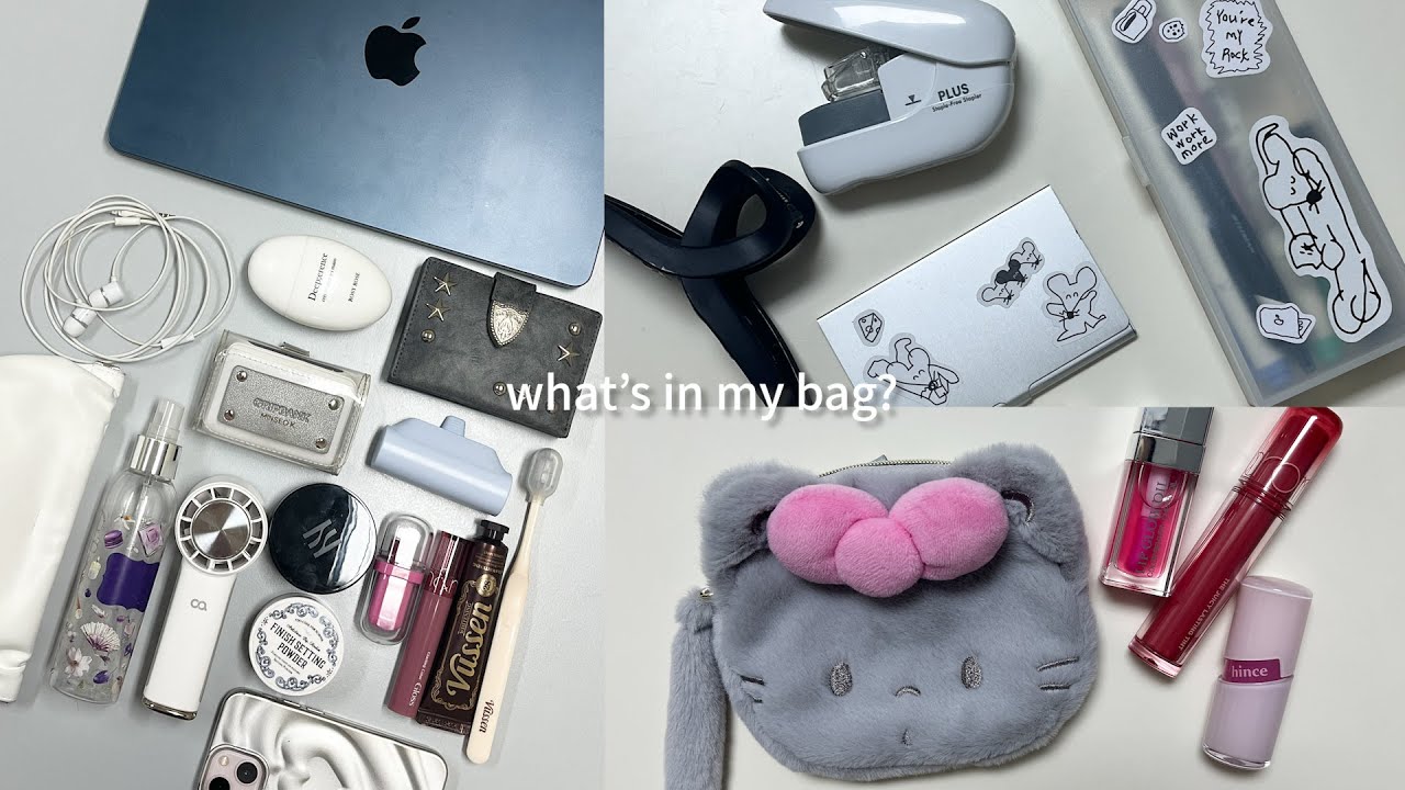 대학원생들의 왓츠인마이백 👜 파우치부터 필통까지 찐템 탈탈 털기 ⋆ ₊ ﾟ