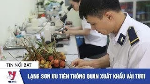 Lạng Sơn ưu tiên thông quan xuất khẩu vải tươi - VNEWS