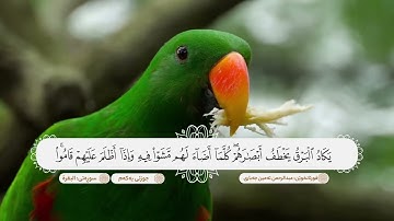 سورة البقرة كاملة ترتيل يریح القلب بصوت القارئ عبدالرحمن امين الجباري
