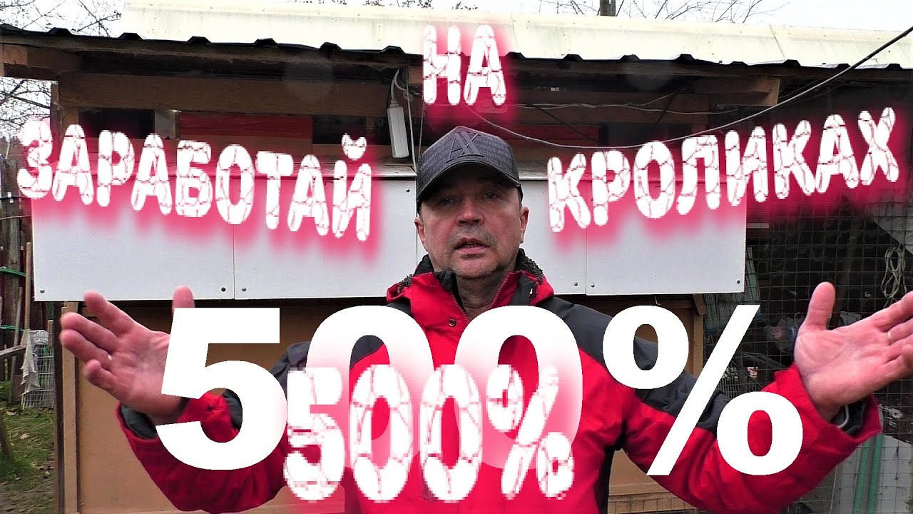 РАЗВЕДЕНИЕ КРОЛИКОВ 🐇прибыль % 🤦♂️ЛИЧНЫЙ ОПЫТ Кролики содержание и разведение