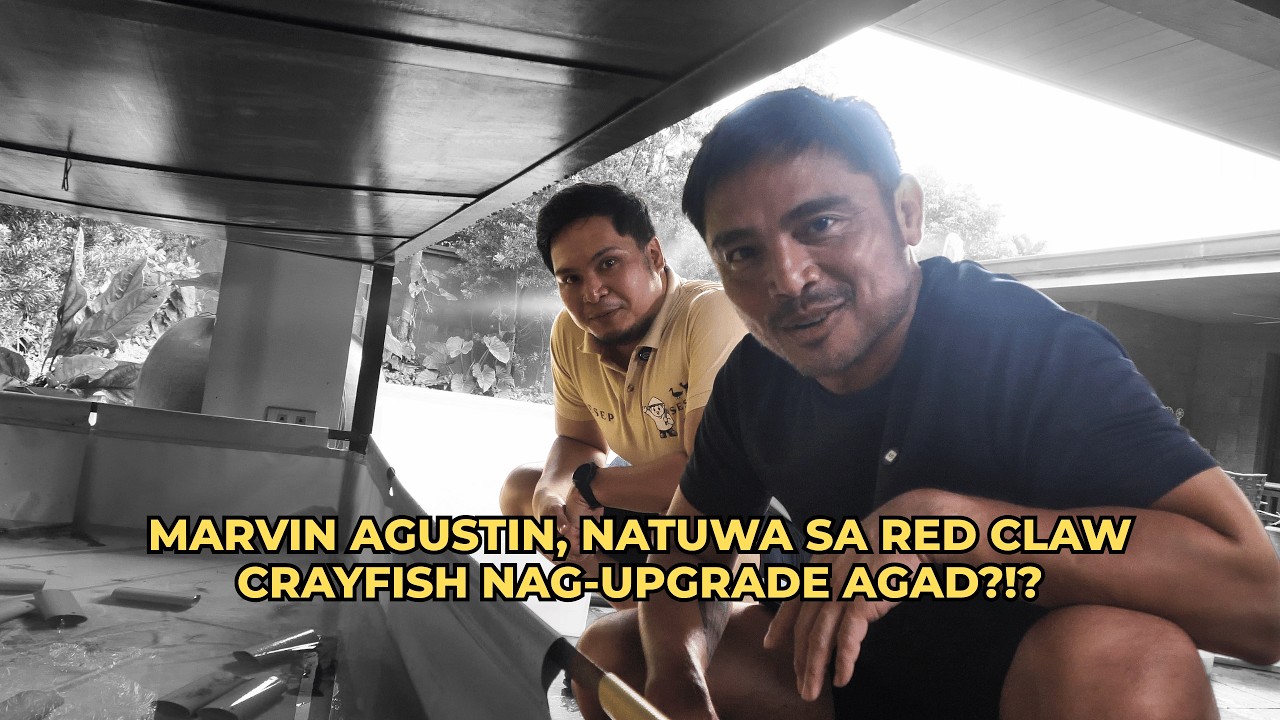 Marvin Agustin, Sumaya sa Red Claw Crayfish Farming nag UPGRADE AGAD?!?!