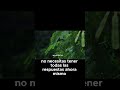 No Tienes Que Resolver Tu Vida Hoy