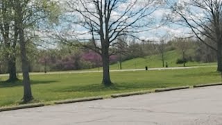 6 Hours In Detroit Today: Big Time Construction