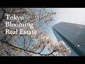 Tokyo Real Estate is Blooming - Housing Japan