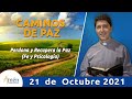 Padre Carlos Yepes l Caminos de Paz l ¡Perdona y recupera la paz!