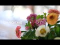 GARDENS 花と暮らす花瓶のアレンジ3選 | 私のお気に入りの花器 | Living with flowers. 3 ways to decorate a vase.【ガーデンズ】