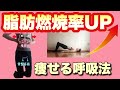 【お正月太り】1畳スペースで燃焼
