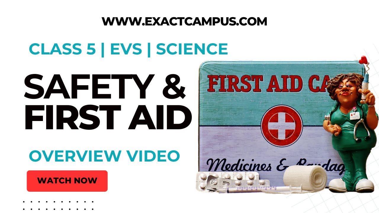 Understanding Safety and First Aid | Class 5 Science (EVS) Chapter ...