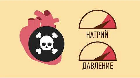 ЧТО БУДЕТ С ОРГАНИЗМОМ ПОСЛЕ БИГ МАКА?