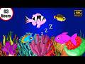 Bedtime Lullaby for Babies🌙 Kids &amp; Parents 😍 Animation🐟Fish lullaby🐟Calming Fishes #mozarteffact