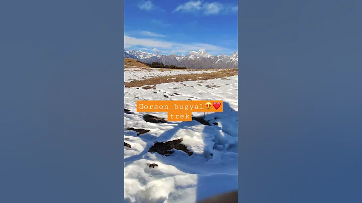 Auli -Gorson bugyal trek #auli #uttarakhand #touristplace #shorts