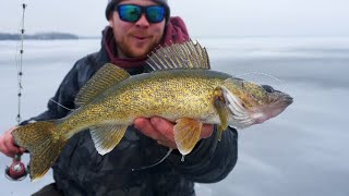 Walleye, Wolves and Coyotes- Ice Fishing (CAMP, CATCH AND COOK)